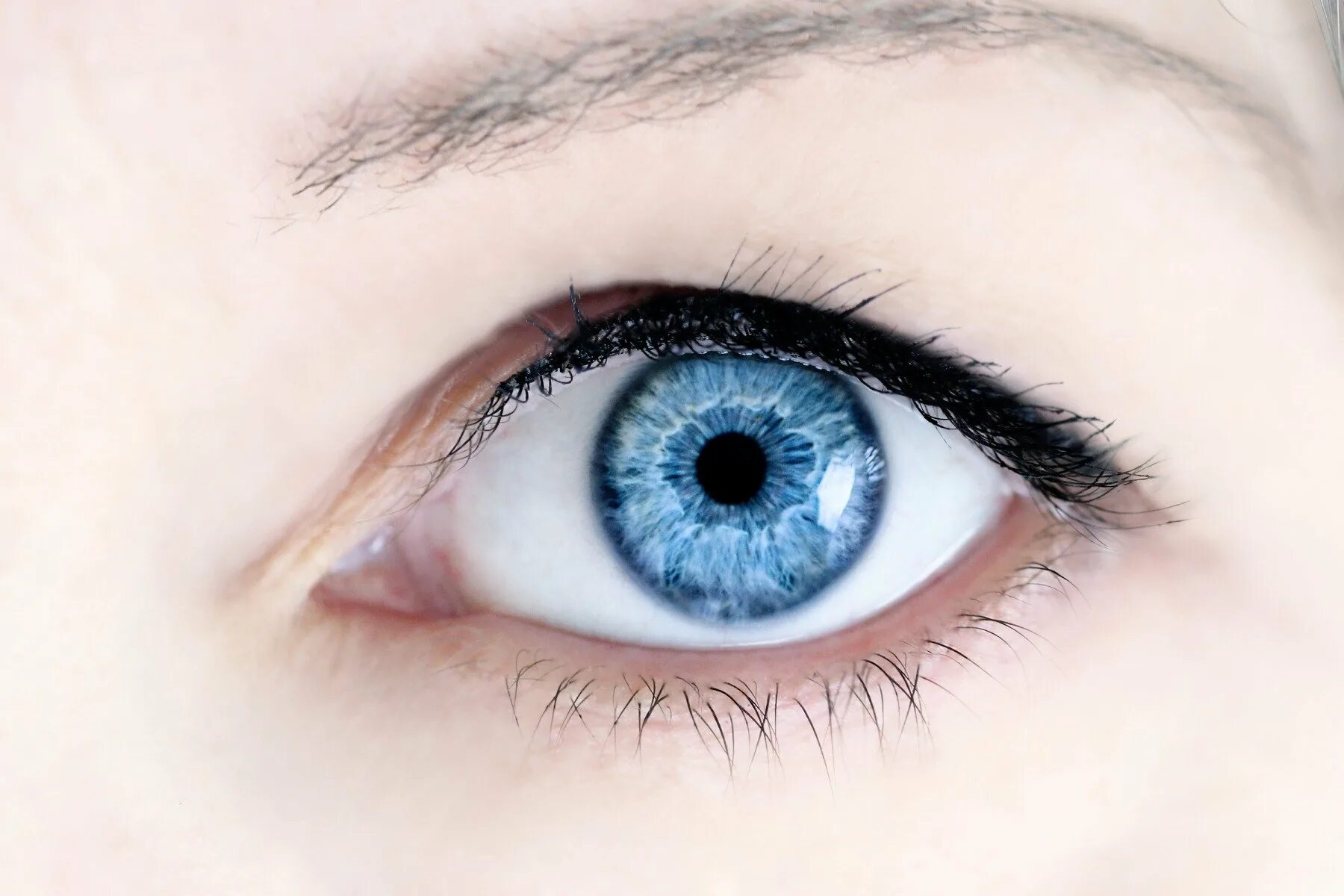 Голубые глаза. Синие глаза. Ярко синие глаза. Красивые голубые глаза.