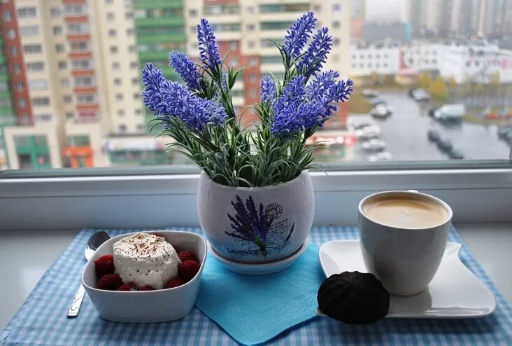 первое домашнее утро. чашка чая на подоконнике. чаепитие у окна. красивые окна. первое домашнее утро.