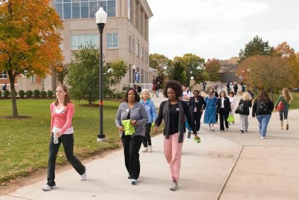 MC State колледж. Southern Connecticut State University. Университет штата Пенсильвания куртка спортивная.