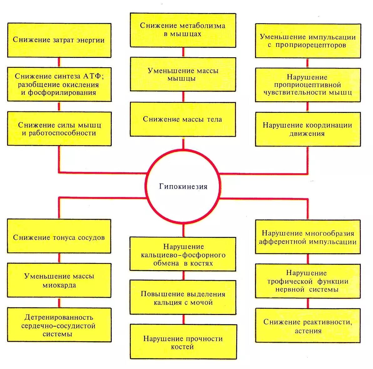 Снижение двигательной активности приводит к