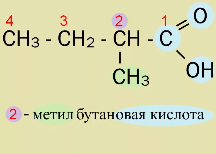 2 Метилбутановая кислота структурная формула. Формула 2 метилбутановой кислоты. 2 Метилбутановая кислота формула. 2 Метилбутановая кислота структурная. Бутановая кислота какая кислота