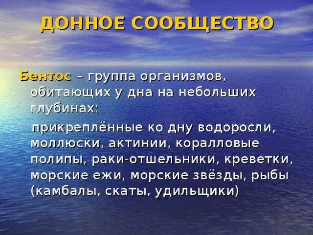 Мировой океан вывод. Сообщение жизнь организмов в морях и океанах. Жизнь в морях и океанах 5 класс биология. Сообщение жизнь организмов в морях и океанах 5 класс. Сообщение о жизни в морях и океанах 5 класс.