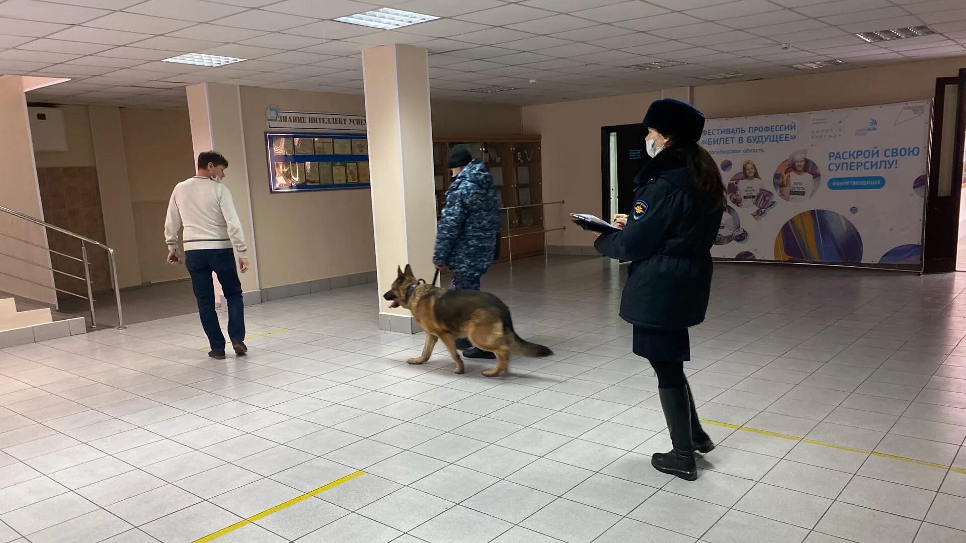 МАОУ СОШ 217. 217 Школа НСК. Заминирование в Новосибирске. Школы кинологии в Новосибирске.