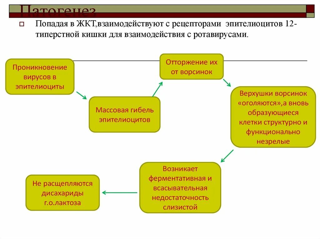 Патогенез ротавирусной инфекции. Патогенез ротавирусного гастроэнтерита. патогенез ротавирусной инфекции схема. ротавирусная инфекция патогенез диареи.