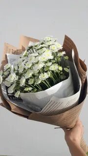 Цветы колпашево