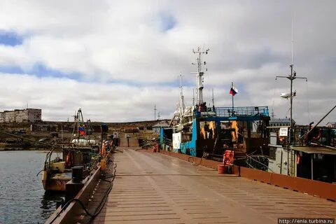 Где зеленце