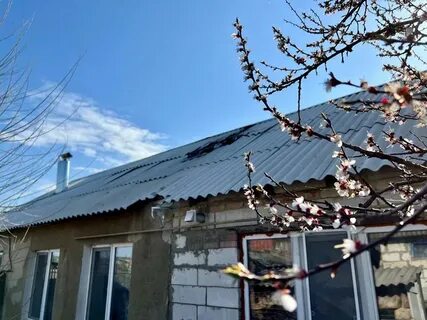 Журавлевка белгородская область новости на сегодня
