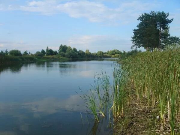 Кадышевский пруд Мордовия. Зайцевский пруд Мордовия. Кадышево Лямбирский район пруд. Дегилевка Мордовия пруд. Пруды мордовии