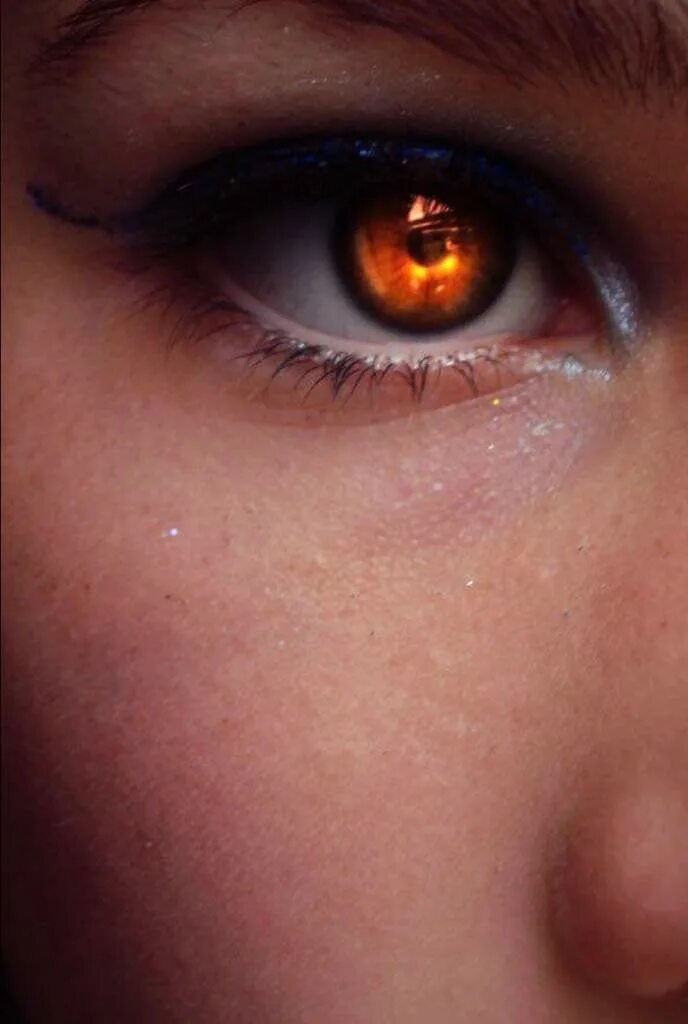 Глаза как будто горят. Янтарные глаза. Оранжевые глаза. Желтые глаза. Золотые глаза.