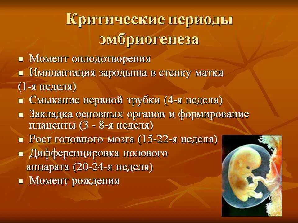 Критические периоды развития в эмбриогенезе. Критические периоды развития зародыша и плода человека.. Критические периоды эмбрионального развития гестации. Этапы развития эмбриона критические периоды. Особенности внутриутробного развития человека