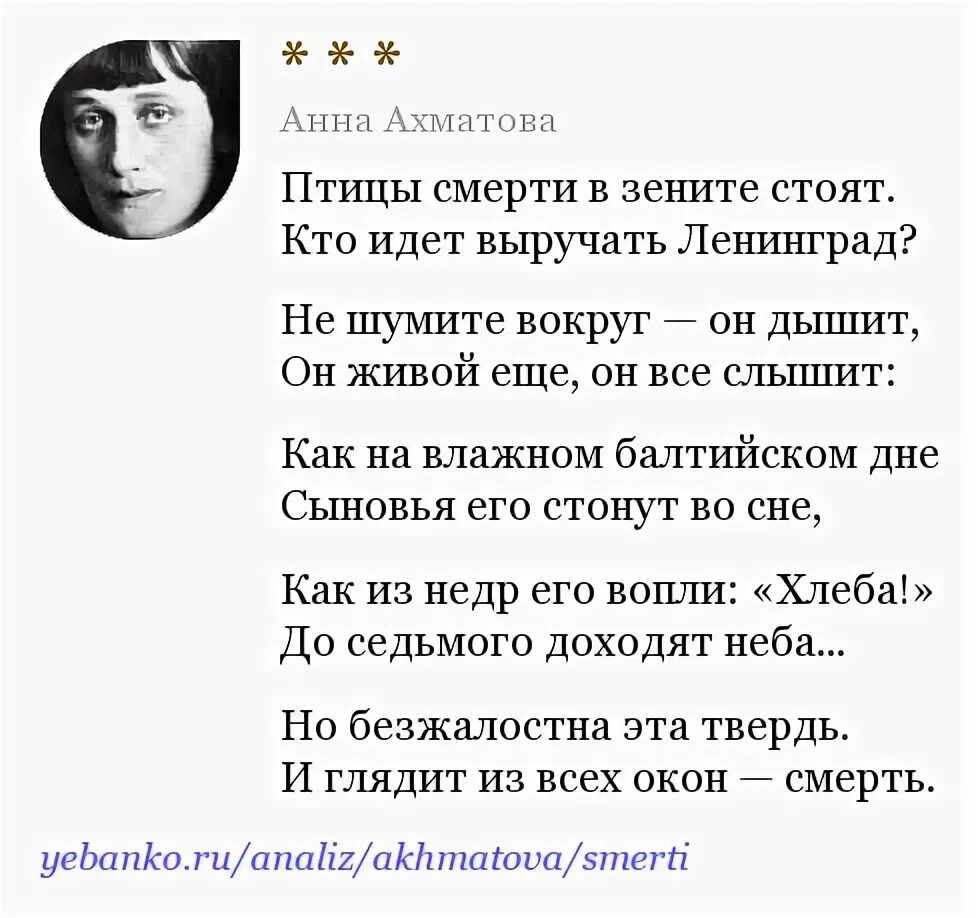 Стихи ахматовой 9 класс литература. Птицы смерти в Зените стоят Ахматова стих. Птицы смерти в стихе Ахматовой это.