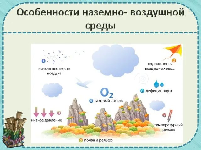 Особенности наземно-воздушной. Характеристика наземно-воздушной среды. Наземно воздушная оболочка. Плотность наземно-воздушной среды.