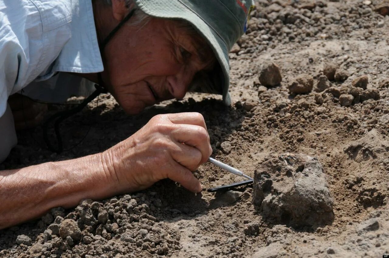 Археолог и палеонтолог. Ученый археолог. Профессия археолог.