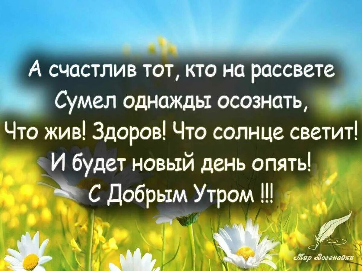 Короткое пожелание со смыслом. Добрые пожелания и высказывания. Открытки с добрым утром позитивные. Позитивного утра. Доброго позитивного утра и удачного дня.