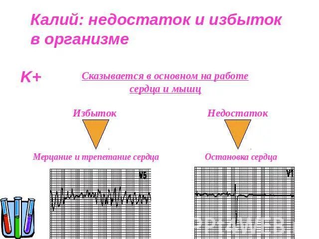 Нехватка калия в организме после. Избыток и недостаток калия. Переизбыток калия в организме. Избыток и недостаток калия в организме. Дефицит и избыток калия в организме.