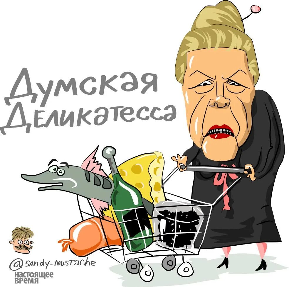 Почему мизулина так разговаривает. Еленой Мизулиной карикатуры. Мизулина карикатура. Карикатура на Мизулину. Шарж Мизулина.