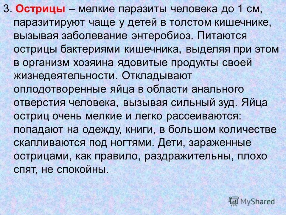 острица детская географическое распространение. круглые черви цикл развития острица. острица характеристика. детская острица тип червей. тип круглые черви острица.