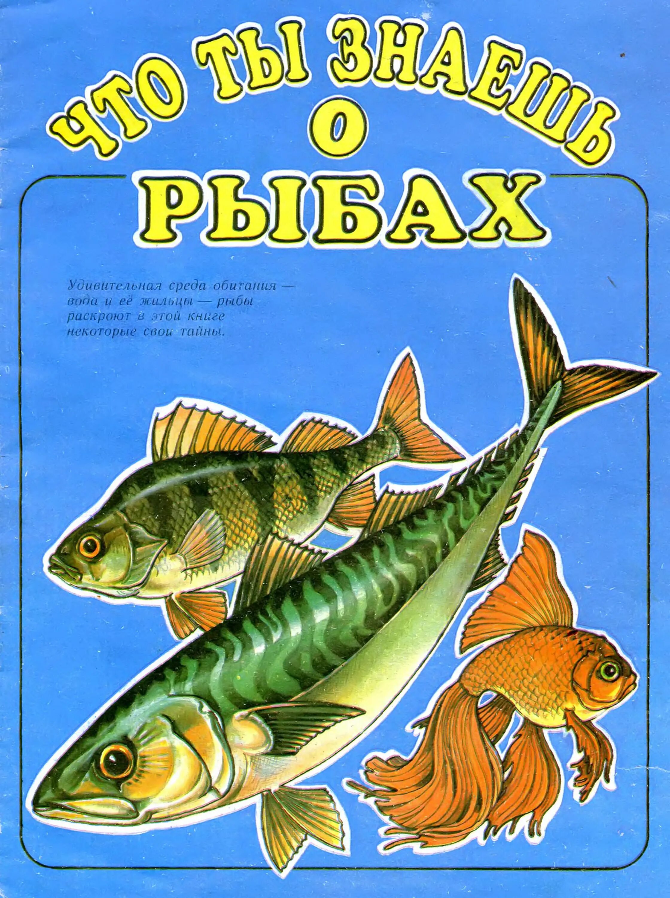 Книги про рыб. Детские книги про рыб. Книги о рыбках для детей. Рыба для детей.