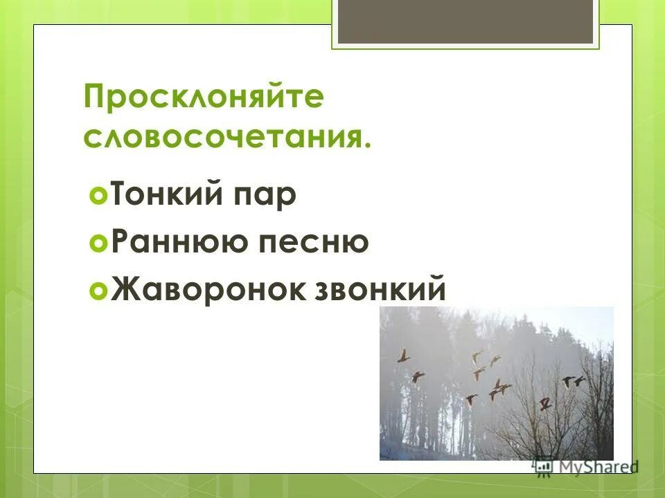 Долина предложение. На солнце темный лес зардел в долине пар белеет тонкий и песню. Синтаксический разбор предложения в долине пар белеет тонкий. В долине пар белеет тонкий падеж. В лазури жаворонок звонкий синтаксический разбор.