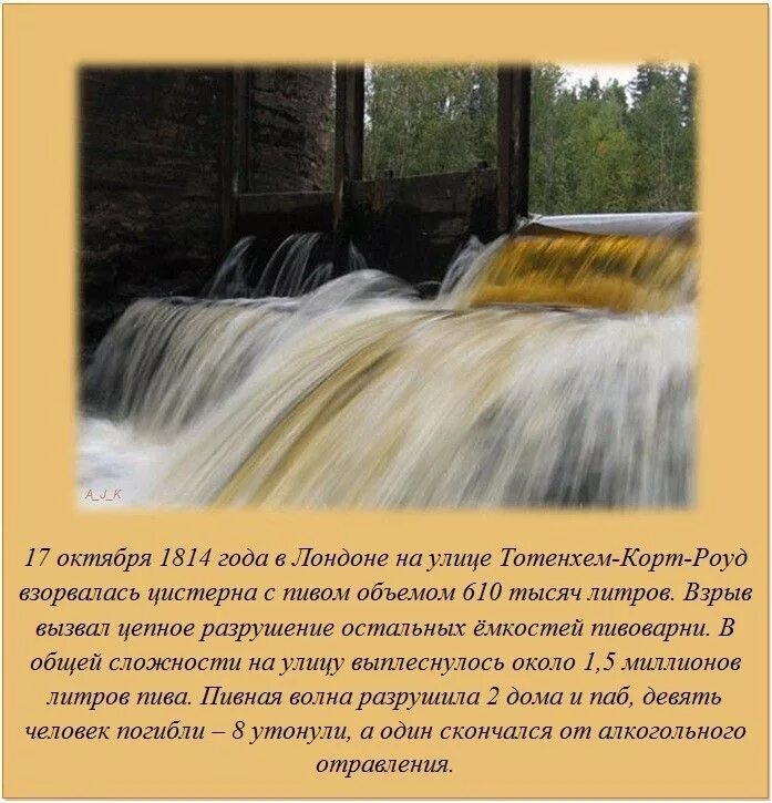 Читать обо всем интересном. Интересные факты фото. интересно и познавательно. интересные факты обо всем фото. интересные факты с фото и описанием.