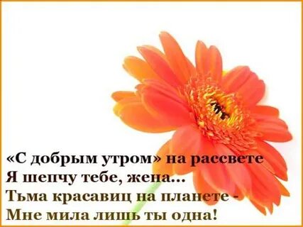 Стих жене утро