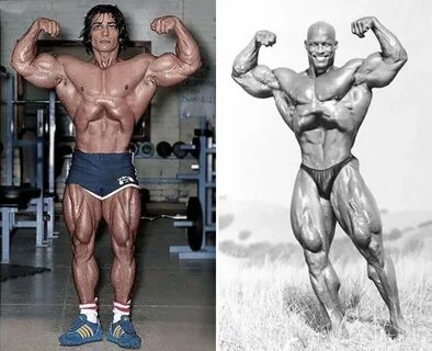Вакуум шварценеггера