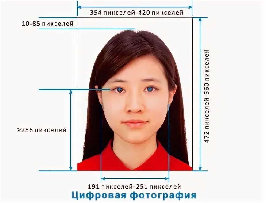 Виза китай требования к фото 2024. Китайская виза требования. Виза требования. Требования к визе в Китай. Фотография на китайскую визу.