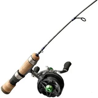 Fish 13