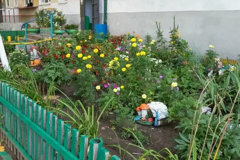Какую игру затеяли дети в палисаднике