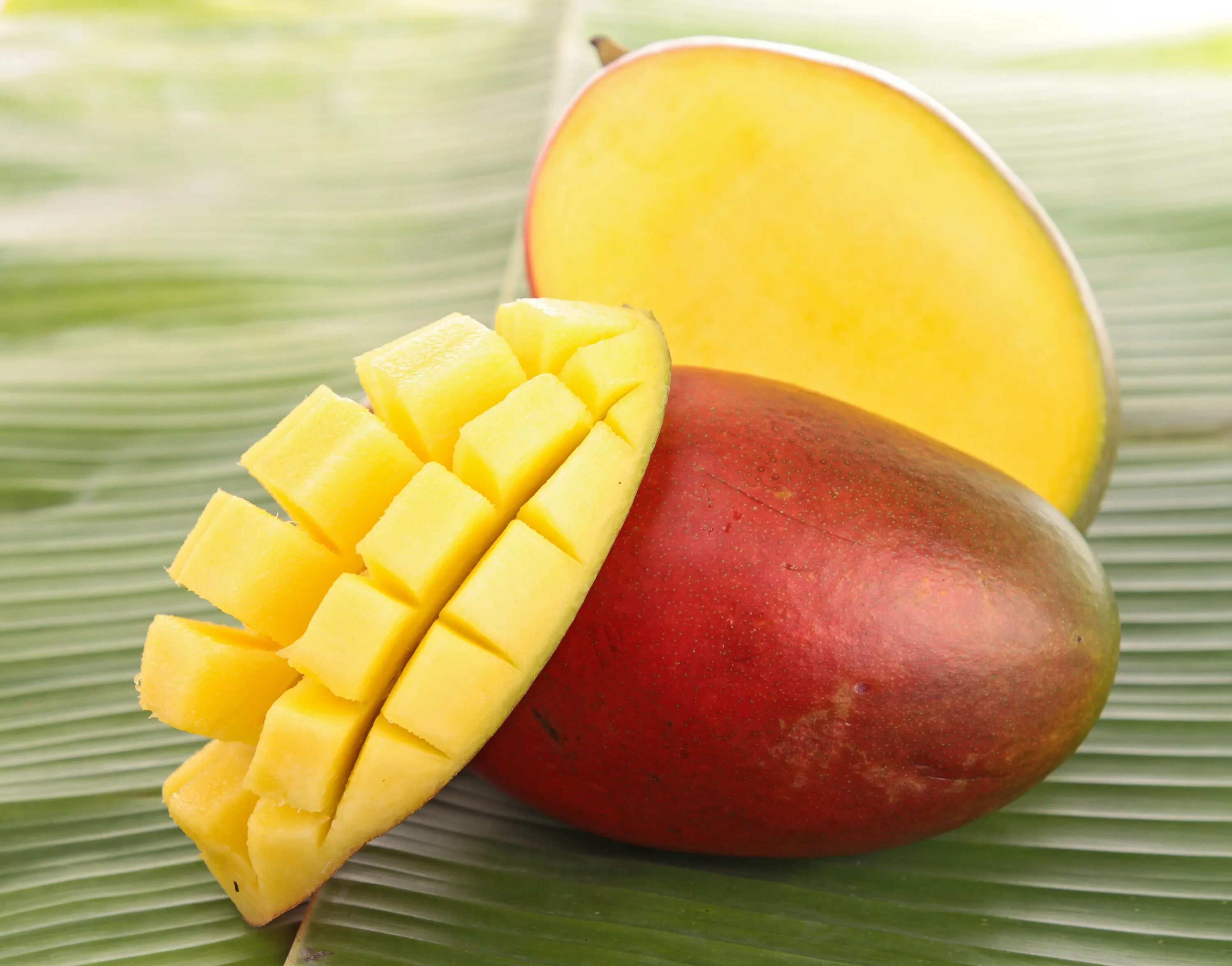 Манго (фрукт). Манго Кео Савое. Манго фрукт Джоджо. Фрукт манго Экстра. Полезные витамины манго