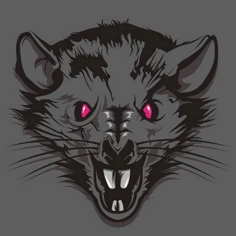 Rat hacking. Rat hacking