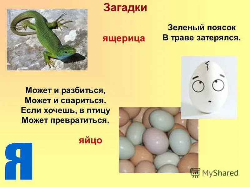 нахождение подлежащего и сказуемого. подлежащее и сказуемое это основа предложения. подлежащее и сказуемое инфинитив. предложение с подлежащим и сказуемым. объясните написание слов с пропущенными буквами.