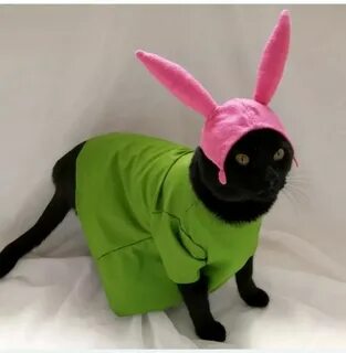 Only bunny