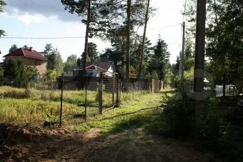 Авито лесной