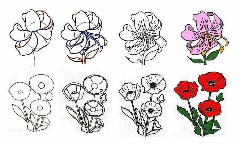 Нарисовать красиво цветок поэтапно. Нарисовать красиво цветок поэтапно. Цветы рисунок. Лёгкие цветы для рисования. Рисование цветов поэтапно.