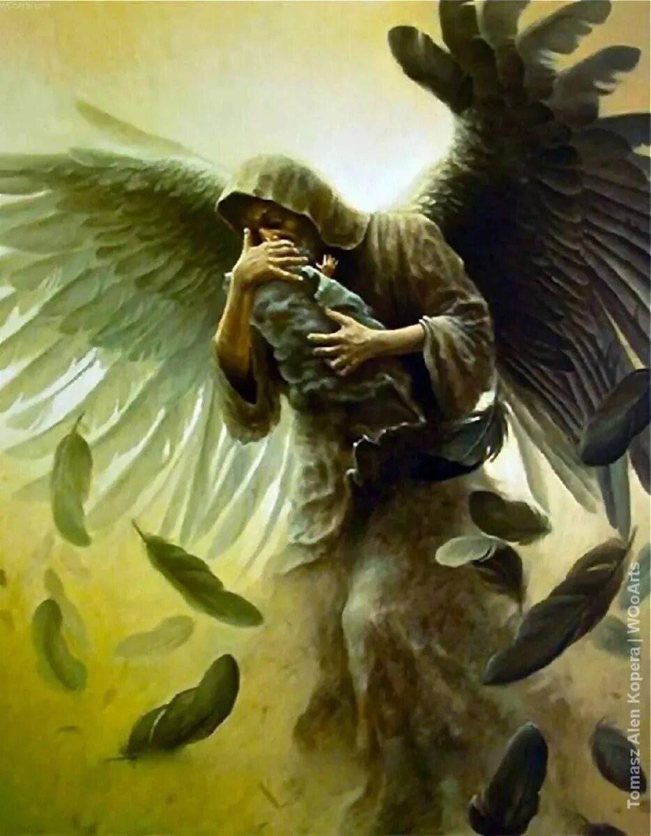 Защита сильная ангела. Томаш Копера художник.