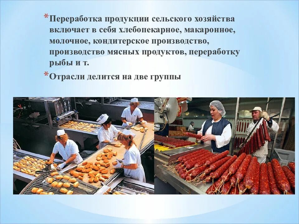 Какая продукция выпускается на предприятии