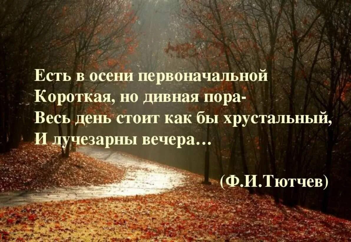Осень цитаты из книг. Осенние высказывания. цитаты про осень. красивые высказывания про осень. осень цитаты красивые.