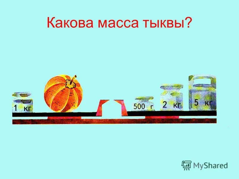 масса тыквы. масса тыквы. найди массу тыквы. масса тыквы арбуза и дыни вместе 16 килограмм. какова масса тыквы.