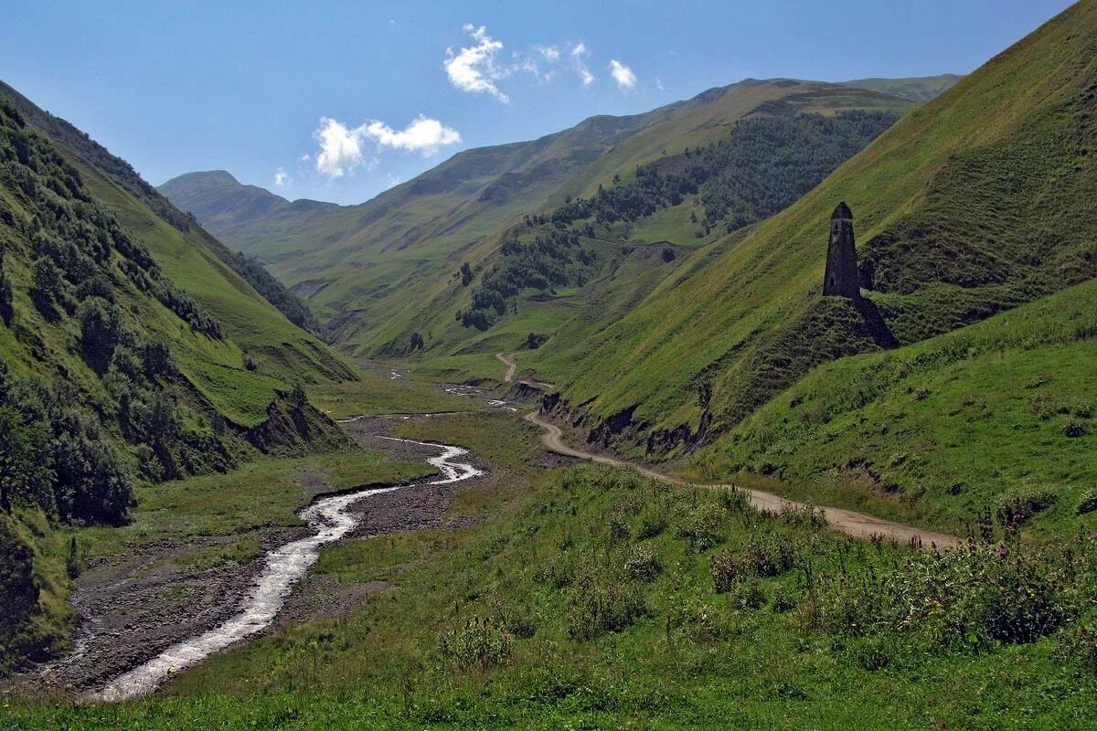 Кавказская грузия