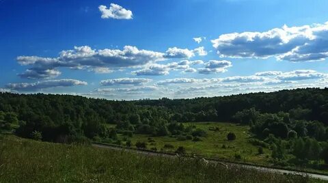 Куркино река сходня