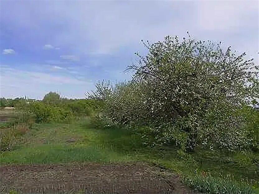 Погода в колодеевке бутурлиновского. Село великоархангельское бутурлиновского. Погода в колодеевке бутурлиновского. Погода в колодеевке бутурлиновского. Погода в колодеевке бутурлиновского.