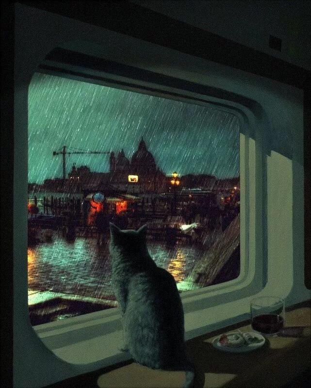 Что я вижу вечером