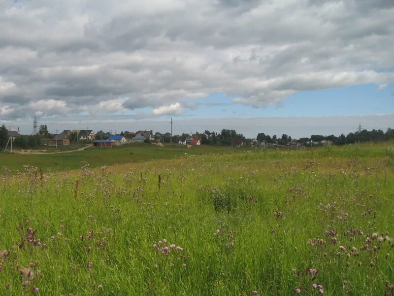 старая пустошь всеволожский. старая всеволожский р н. старая всеволожский р н. д старая всеволожский район. старая всеволожский р н.