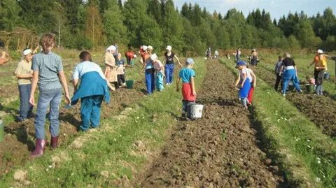 Ук трудовое