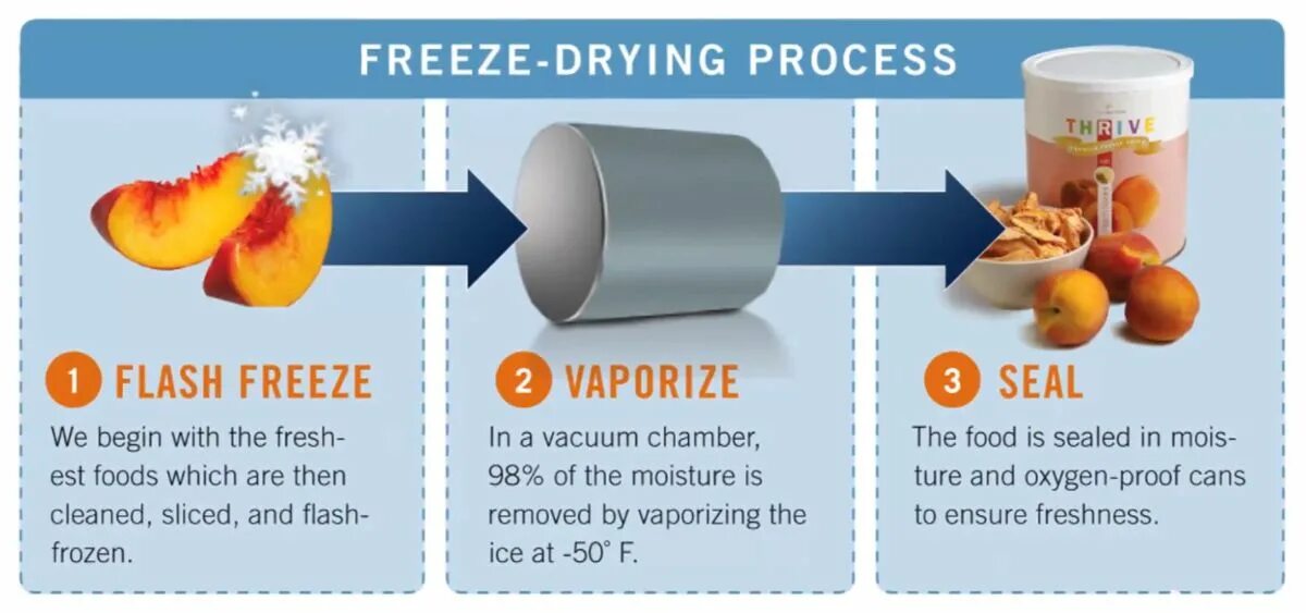 Process Freeze Drying. Лиофилизация. Лиофилизация микроорганизмов. Freeze Drying food.