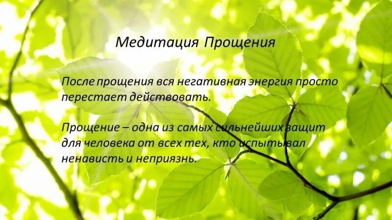 Аффирмации на прощение себя. Медитация прощения себя. Аффирмации на прощение обиды. Аффирмация на прощение обиды. Исцеление вегетативной системы медитация