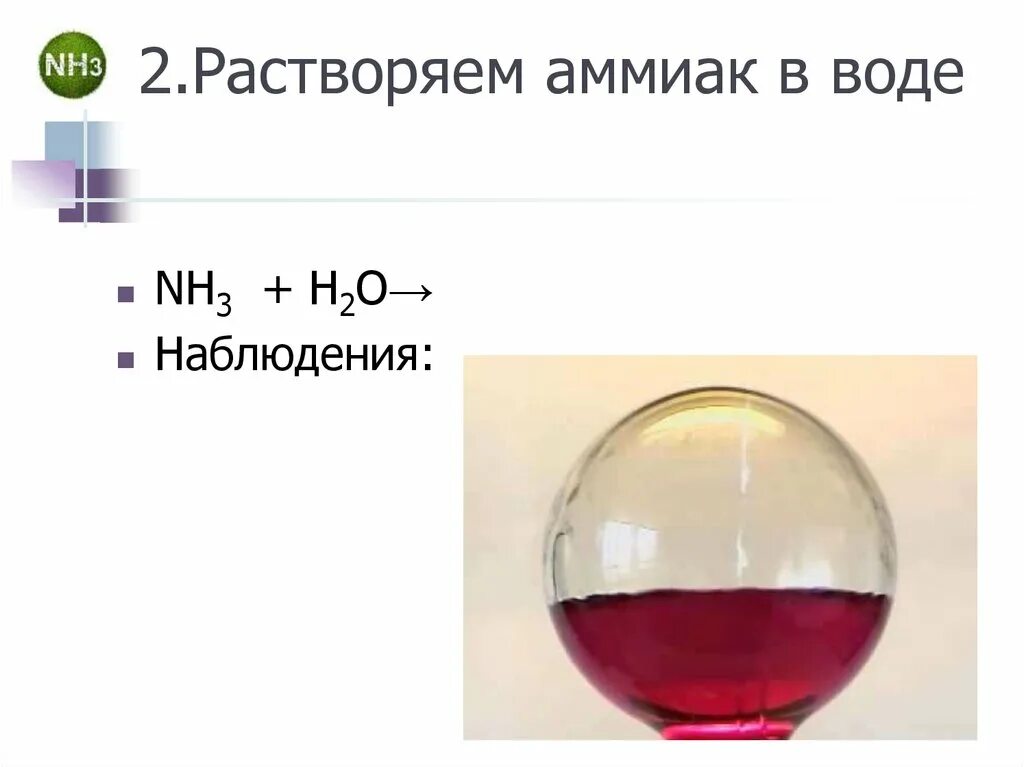 Растворение аммиака в воде. Растворимость аммиака в воде. Растворение аммиака в воде наблюдение. Растворение аммиака реакция. Реакции аммиака с водой и кислотами