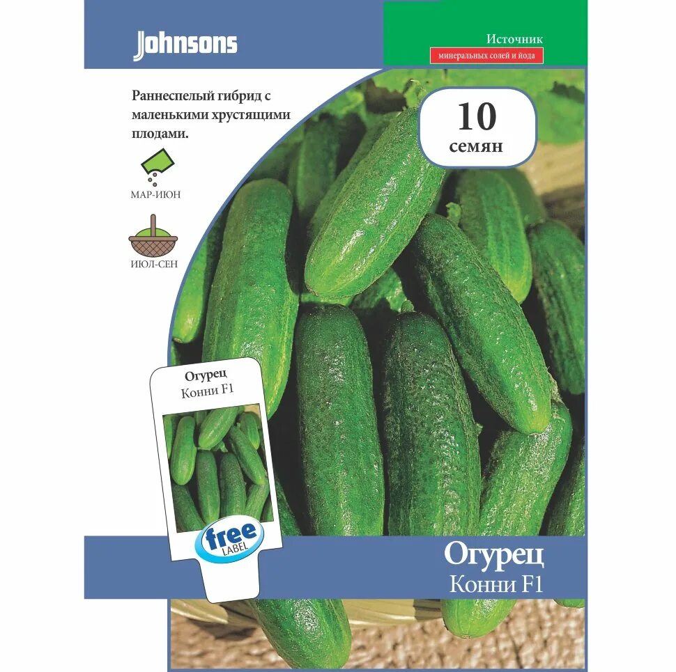 Огурцы сорт конни. Огурец сорт конни отзывы. Огурец конни f1. Сорт огурцов конни f1. Семена огурцов конни f1.