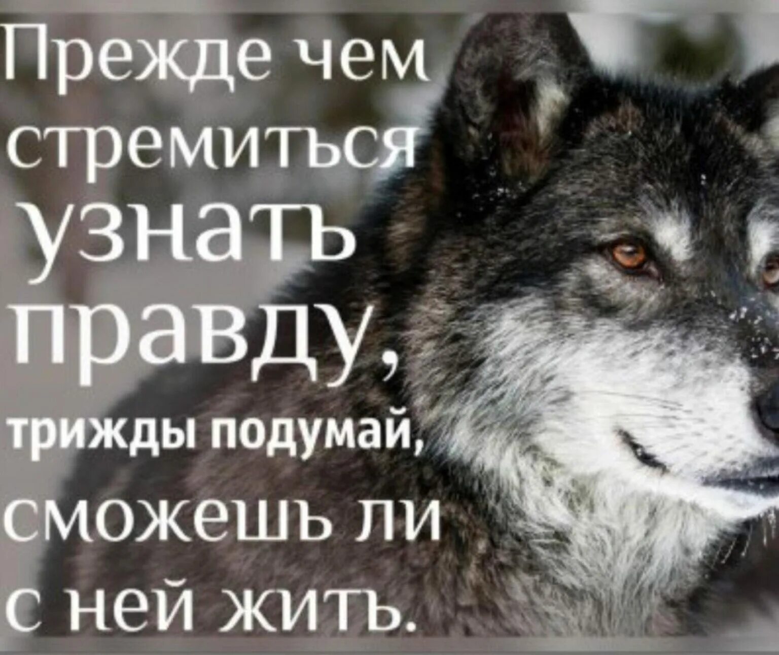 Включи ее обратно
